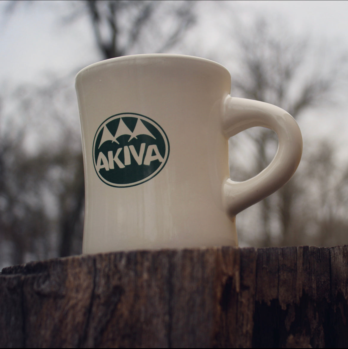 Akiva mug